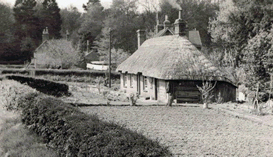 thatched cottage brocks green next to elephant cottage.jpg